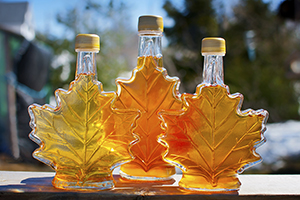 Maple syrup cures Alzheimer's?
