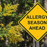 10 tips for surviving allergy season