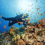 Scuba diving is great (but there’s a lot that can go wrong!)